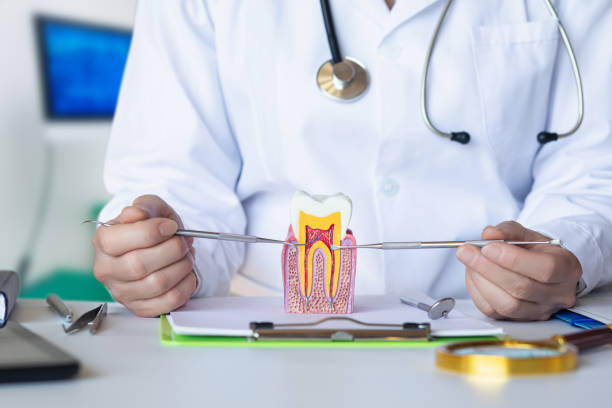 Best Emergency Root Canal Treatment in Mount Rainier, MD